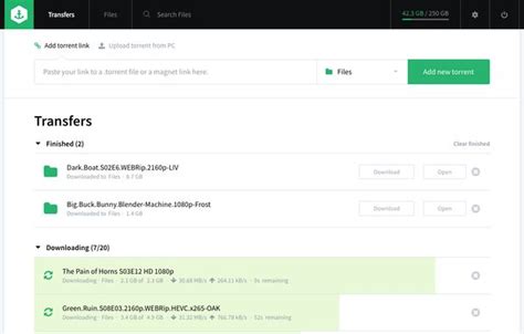 Seedr Alternatives: Top 10 Torrent Seedboxes .